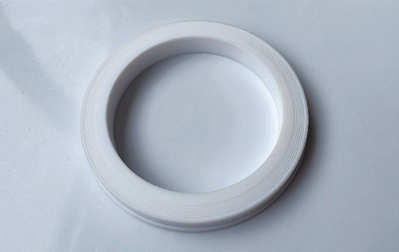 Op maat gemaakte materialen, standaard maat 2 &quot; 3&quot; 4 &quot; PTFE hamer union lip seal ringen