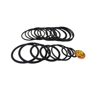 AP Compact 10 20 Baker Set Tool Kits O Rubber Ring Make Amends For Bridge Plug Redress Kits