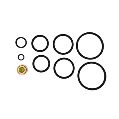 # 20 Korte de Voltooiingshulpmiddelen van Kit Rubber Seal Oilfield Downhole van het Slagherstel