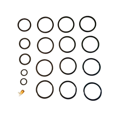Ozon- en verouderingsbestand waterdicht NBR HNBR FKM Rubber 312 Shorty Redress Kit Voor olie gevulde voltooiingstools