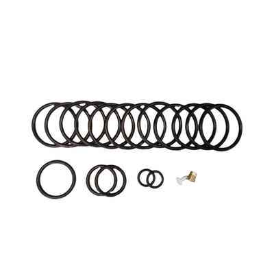 Ozon- en verouderingsbestand waterdicht NBR HNBR FKM Rubber 312 Shorty Redress Kit Voor olie gevulde voltooiingstools