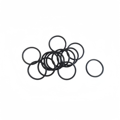 Professionele zwarte NBR HNBR FKM rubber O ringen voor figuur 206 zegelringen