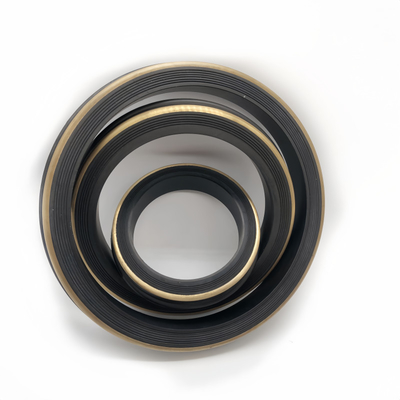 Hoogdruk Uithoudingsvermogen Fig 602 Buna 2 Inch Hammer Union Lip Seal Ring