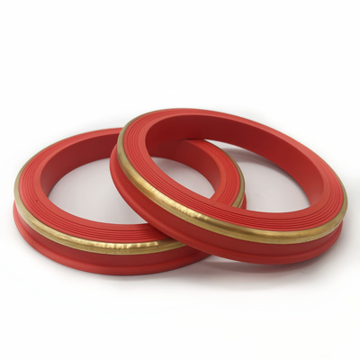 Elastomeer 1502 Union Lip Seal Gasket met Buna W/ Rustvrij staal