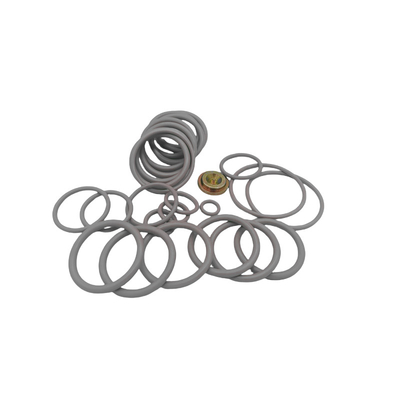Royal Way 10 BP3.SEC Verbetering Kits Reparatie Kits Well Completion Tool