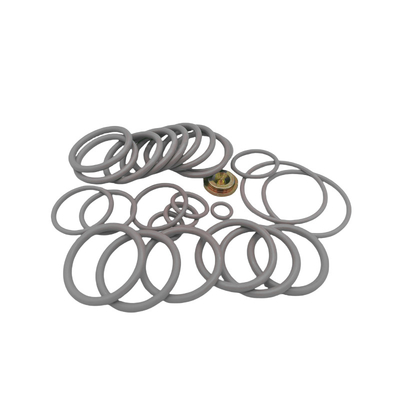 #10 BP3.SEC Draadlijn Adapter Kits Rubber O Ring Seal Kits voor de olie- en gasindustrie