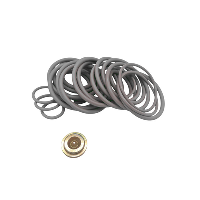 OEM/ODM beschikbaar Nitrilfluorelastomeer brugpluggen 10 BP3.SEC Adapter Kits Voor Verstel