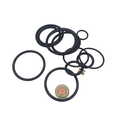 DWS 3 58 Compact Remedy Kit Rubber Seal Kits voor de olie- en gasindustrie