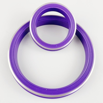 Purper High Quality NBR HNBR FKM PTFE Hammer Union Seal met roestvrij staal