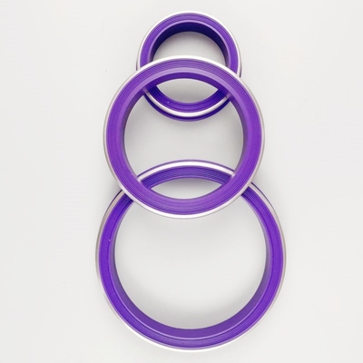 Purper High Quality NBR HNBR FKM PTFE Hammer Union Seal met roestvrij staal