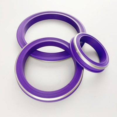 Purper High Quality NBR HNBR FKM PTFE Hammer Union Seal met roestvrij staal