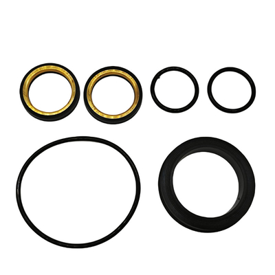 Goede chemische weerstand FKM rubber 1 inch 602 laag koppel stekker klep zachte afdichting kit voor voltooiing gereedschap