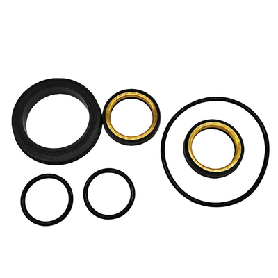 Goede chemische weerstand FKM rubber 1 inch 602 laag koppel stekker klep zachte afdichting kit voor voltooiing gereedschap