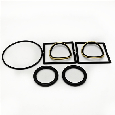 Oilfield Plug Valve Seals Kit verkrijgbaar in NBR HNBR en FKM materialen