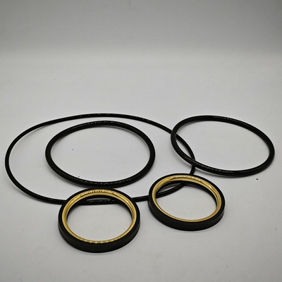 1 " 2 " 3 " chemische weerstand laag koppel NBR HNBR FKM stekkerklep afdichtingen