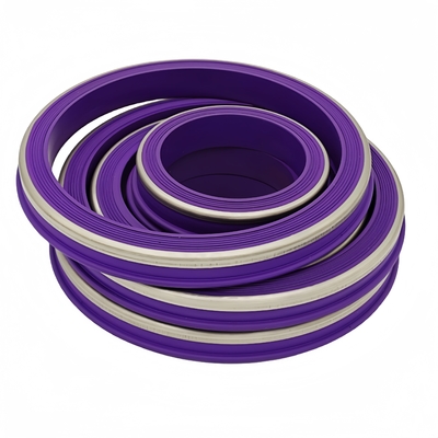 Duurzame hittebestendigheid NBR HNBR FKM PTFE Hammer Union Seals Rubber Seal Voor olieveld