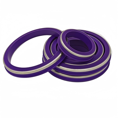 Duurzame hittebestendigheid NBR HNBR FKM PTFE Hammer Union Seals Rubber Seal Voor olieveld