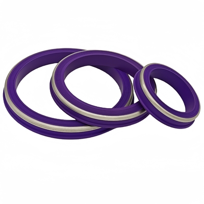 Duurzame hittebestendigheid NBR HNBR FKM PTFE Hammer Union Seals Rubber Seal Voor olieveld