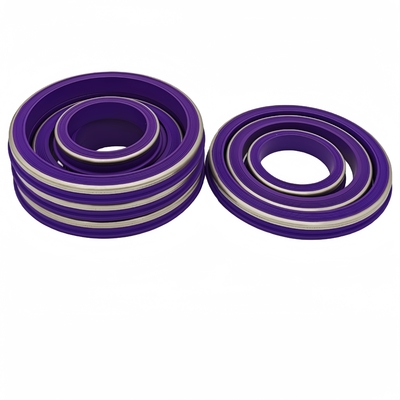 Duurzame hittebestendigheid NBR HNBR FKM PTFE Hammer Union Seals Rubber Seal Voor olieveld