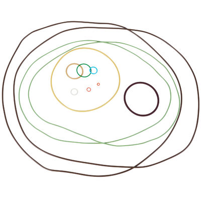 O-ring Producent Premium oliebestendige AS568 Precision FFKM Rubber O-Rings voor aardgas