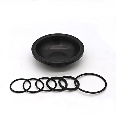Blueflex-diafragma-kit voor AR30/40-pompen oliebestendige NBR- of FKM-rubber