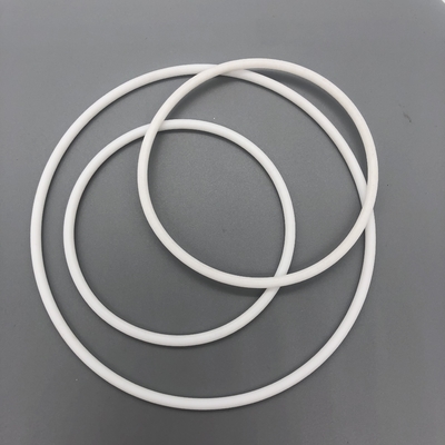 OEM ODM Custom Rubber Rings PTFE chemisch bestand