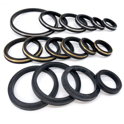 2 Inch FIG 602 FIG 1002 Hammer Union Seal and Hammer Union Lip Seal for Oilfield Equipment