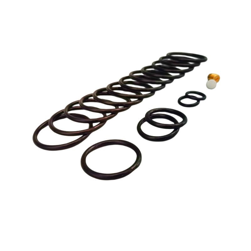 Ozon- en verouderingsbestand waterdicht NBR HNBR FKM Rubber 312 Shorty Redress Kit Voor olie gevulde voltooiingstools