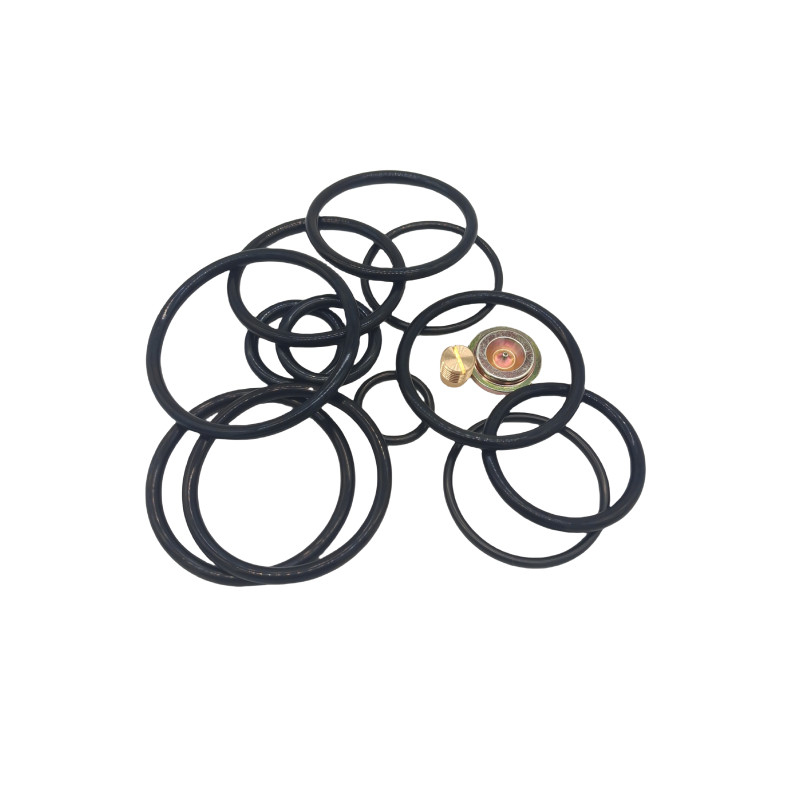 DWS 3 58 Compact Remedy Kit Rubber Seal Kits voor de olie- en gasindustrie