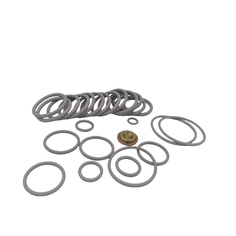 #10 BP3.SEC Draadlijn Adapter Kits Rubber O Ring Seal Kits voor de olie- en gasindustrie