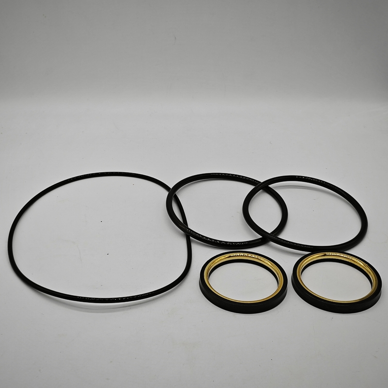 1 " 2 " 3 " chemische weerstand laag koppel NBR HNBR FKM stekkerklep afdichtingen