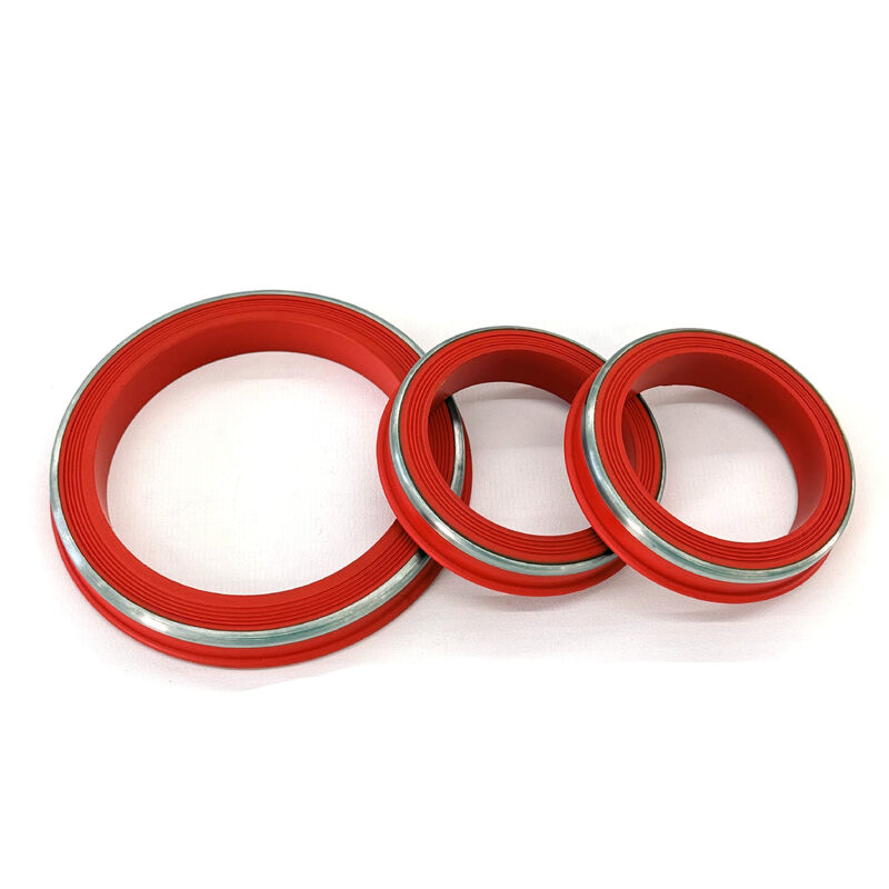 Temperatuurbestendig FKM Lip Style Hammer Union Seals met SS Ring Ontworpen voor H2S & CO2 Omgevingen